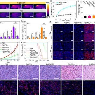 A In Vivo Ir Thermal Images Of Mice And B Temperature Increase