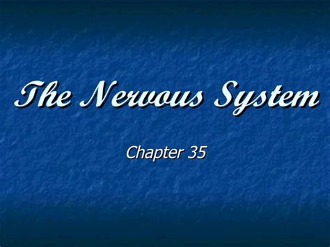 The Nervous System Ppt Free Download