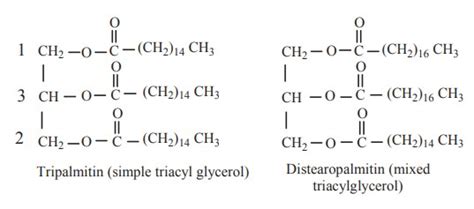 Triacylglycerol Structure