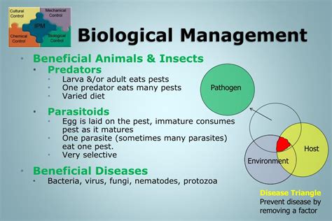 Ppt Integrated Pest Management Powerpoint Presentation Free Download Id4959905