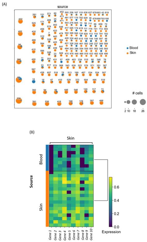 Cells Free Full Text T Cell Receptor Repertoire Analysis With Computational Tools—an