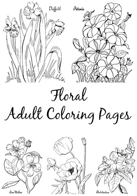 7 Floral Adult Coloring Pages - The Graphics Fairy