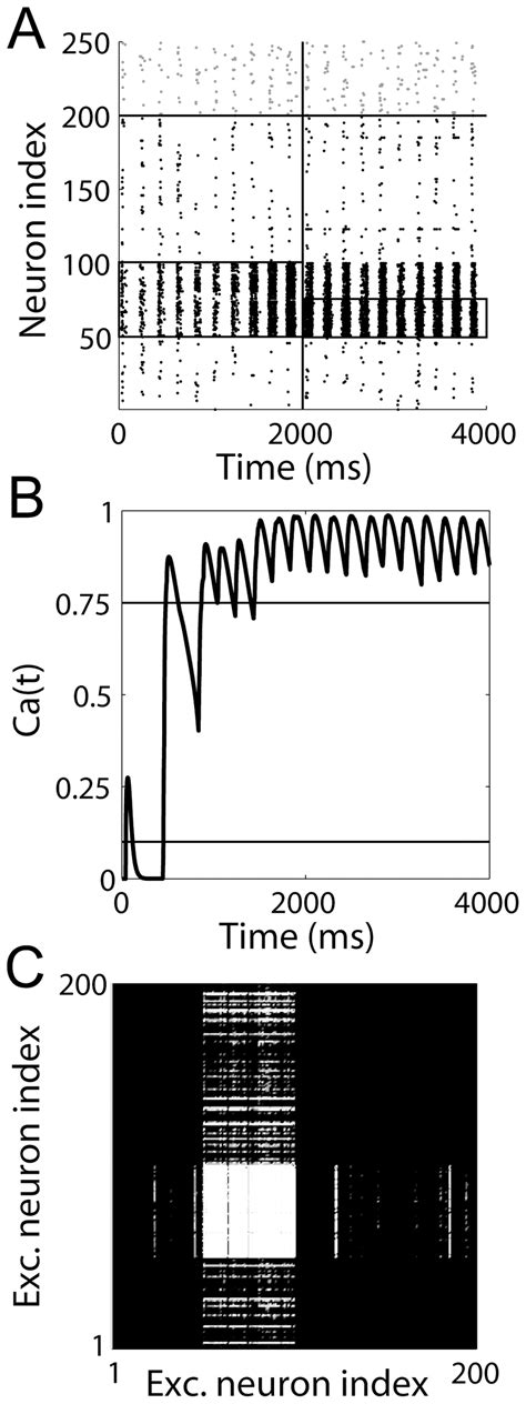 The Plasticity Model Supports Hebbian Associative Learning In A