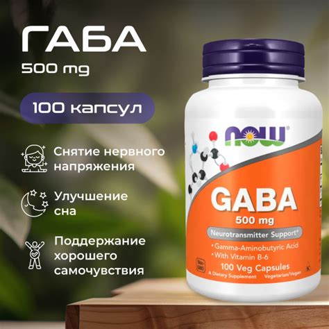 GABA / ГАБА , Now Foods, 500 мг, 100 капсул - купить с доставкой по ...