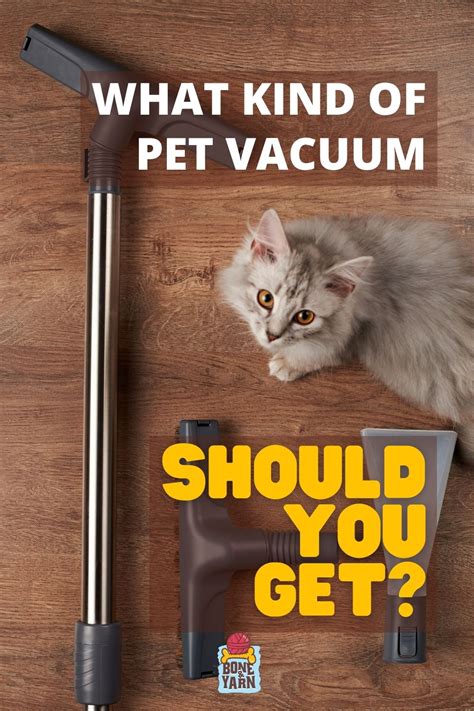 Best Pet Vacuum Cleaners to Tackle Shedding Fur - Bone & Yarn