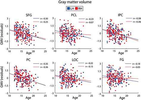 Depiction Of The Relationship Between Age And Gm Volume Gmv For The