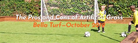 Artificial Grass - The Pros and Cons - Here's What You Need To Know