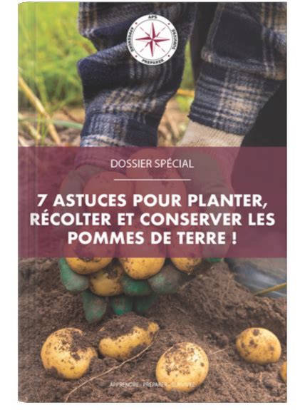 7 Astuces Pour Planter Recolter Et Conserver Les Pommes De Terre