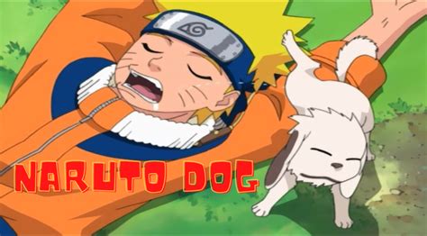 Naruto Dog | Akamaru of the Inuzuka Clan and More