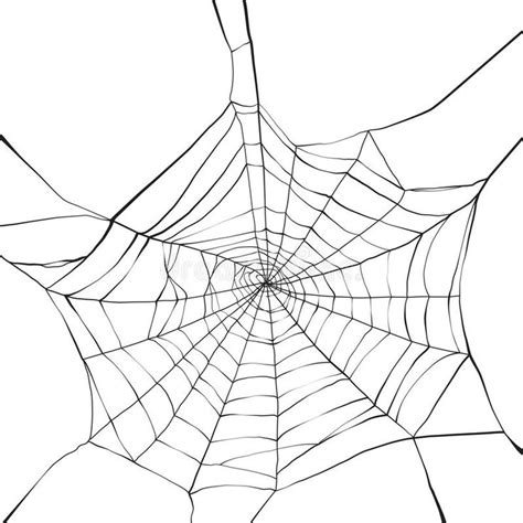 Spider Web on White Background Illustration