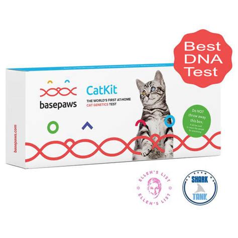 Basepaws Cat DNA Test Kit Review 2024 | At-Home Cat Health Testing