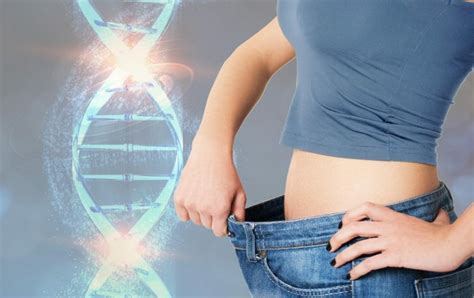 Scientists Identify Gene Linked To Thinness The New Mind Journal