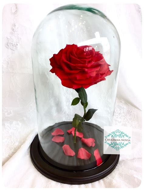 San Valent N Perfecto Rosas Naturales Encapsuladas Tienen Una Vida