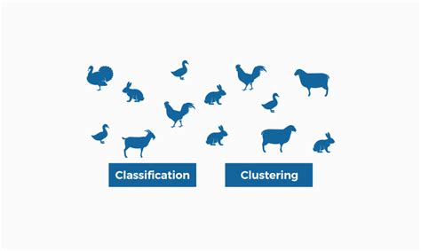 What Is The Difference Between Classification And Clustering