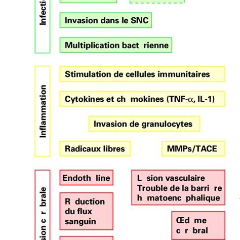 Pdf Pathogenèse De La Méningite Bactérienne Comment éviter Les Séquelles Neurologiques Tardives