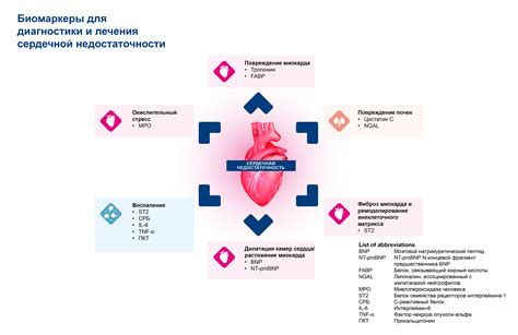 Маркеры сердечной недостаточности - информация по продукте | Хайтест