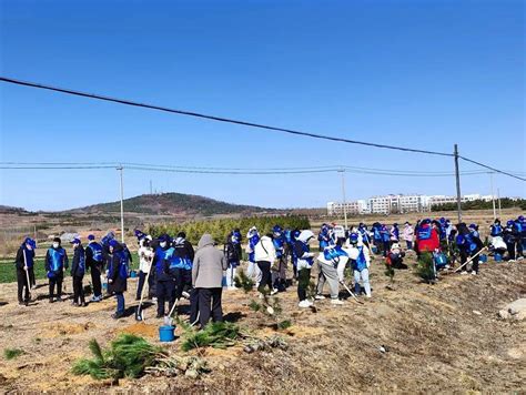 春风十里 “植”此青绿 乳山市积极开展春季义务植树活动树苗海阳所镇劳动