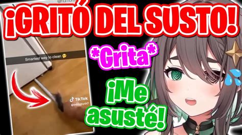 Meica Grita Del Susto Por Un Tiktok Y Se Graba Sin Querermeica Youtube