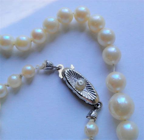 8 Kt Akoya Pearls White Gold Necklace Japanese Catawiki