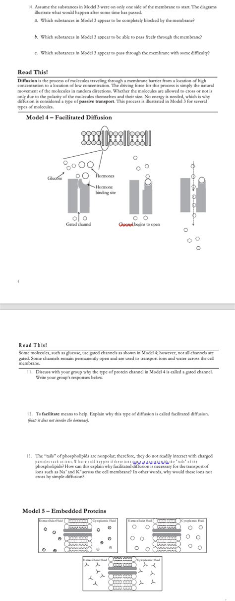 Solved The Selectively Permeable Cell Membrane How Do Chegg