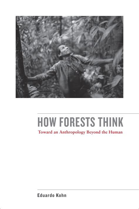 Anthropology Beyond The Human An Amazon Tribe S Deep Connection With