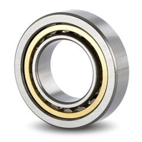 Stainless Steel Ss Single Row Cylindrical Roller Bearing For