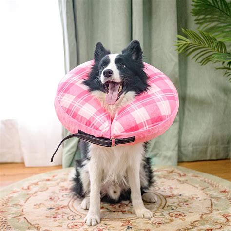 BEAUTYZOO Collar inflable con cono para perros pequeños medianos y