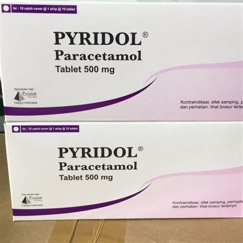 Jual Pyridol Tab Pyridam Shopee Indonesia