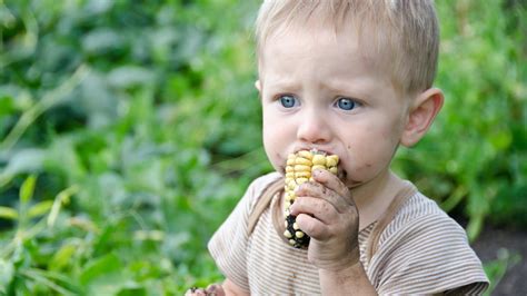 Les Choses Grossi Res Que Vos Enfants Mangent Qui Sont Dangereuses Et