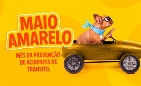 Blog Rei Dos Animais Maio Amarelo M S Da Preven O De Acidentes De