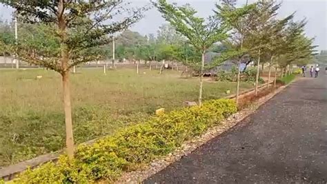 Residential Plot Sq Yards For Sale In Dasannapeta Vizianagaram