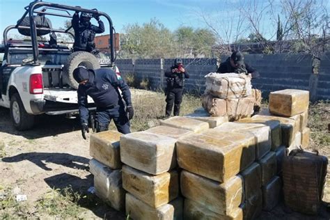 Fotos Fuerza Tamaulipas Aseguran 536 Kilos De Mariguana En Miguel