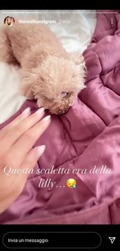 Michelle Hunziker Ha Perso La Sua Cagnolina Il Dolore Social Per La