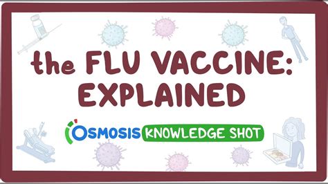 The Flu Vaccine Information For Patients And Families Osmosis