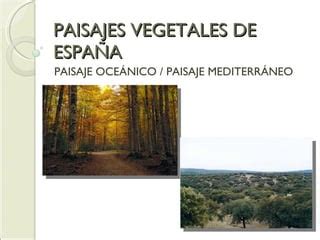 VegetacióN Oceanmedit PPT