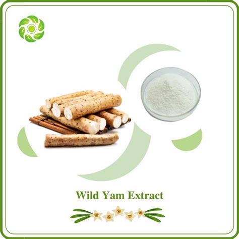 World Well Being Biotech Natural Wild Yam Extract With