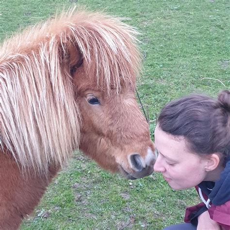 Toppy Star Therapy Ponies Fife