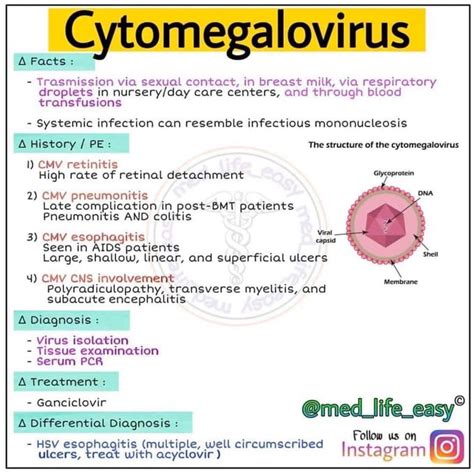 Cytomegalovirus MEDizzy