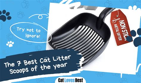 The 7 Best Cat Litter Scoops Of 2023