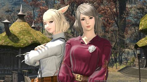 Modern Aesthetics Form And Function Final Fantasy Xiv Online Wiki