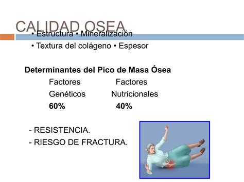 Proceso de consolidación ósea PPT