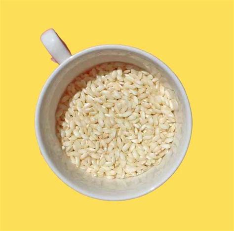 1 Cup Dry Rice Is How Much Cooked – Power Up Cook