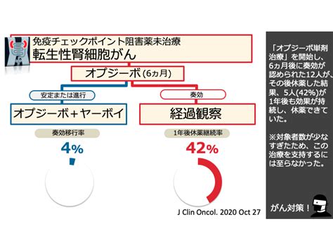 日本がん対策図鑑 【腎細胞がん：オプジーボ治療】効果判定結果による「休薬」または「ヤーボイ追加」