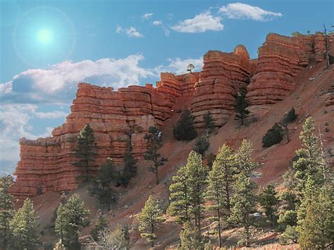 Dixie National Forest Utah Photograph By Patti Deters Fine Art America