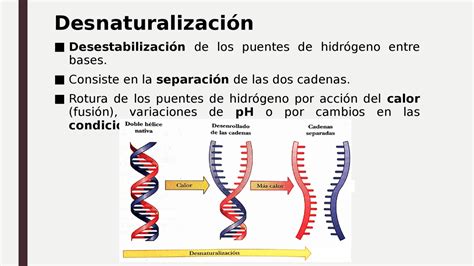 Negativo Lantano Psicolog A En Que Consiste La Desnaturalizacion De Las