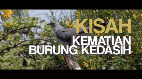 Kisah Kematian Burung Kedasih SECRET STORY 07 01 24 YouTube