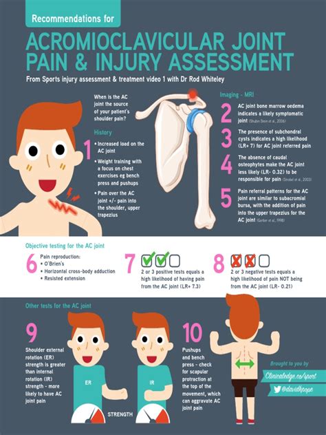 AC Joint Infographic | PDF | Shoulder | Musculoskeletal System