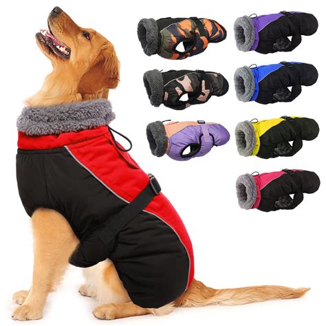 Best Winter Coats for Dogs: Stay Warm and Stylish All Season Long - My ...