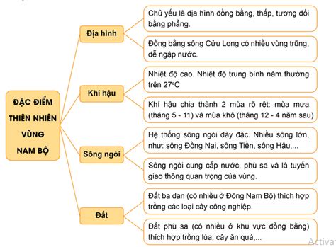 Vẽ Sơ đồ Tư Duy Thể Hiện đặc điểm Thiên Nhiên Vùng Nam Bộ