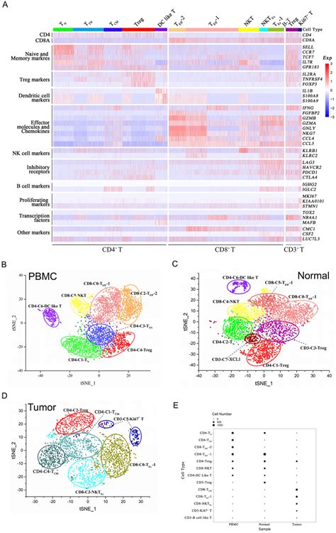 Single Cell Profiling Of Tumor Infiltrating T Cells In Ubc A Heat